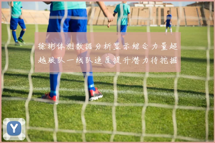 徐彬体测数据分析显示综合力量超越狼队一线队速度提升潜力待挖掘