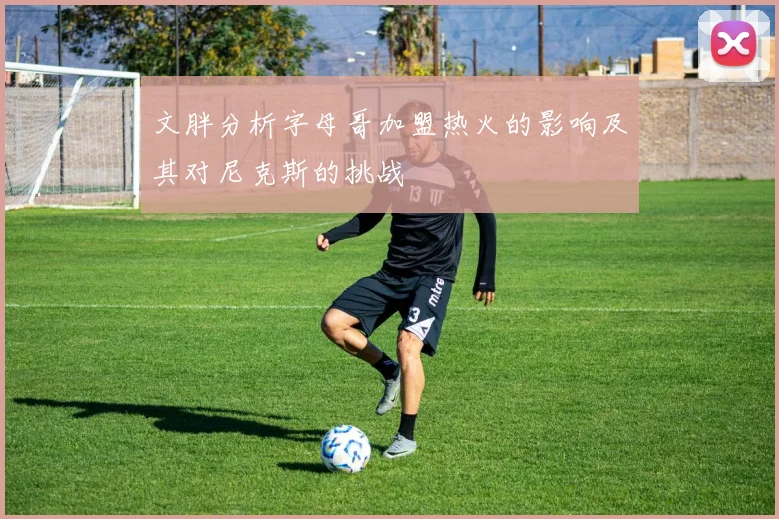 文胖分析字母哥加盟热火的影响及其对尼克斯的挑战
